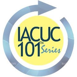 How to Get a Temporary Phone Number from text2fa.com for 101Plus